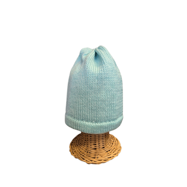 Aqua Blue WS Knitted Hat Knitted Hats